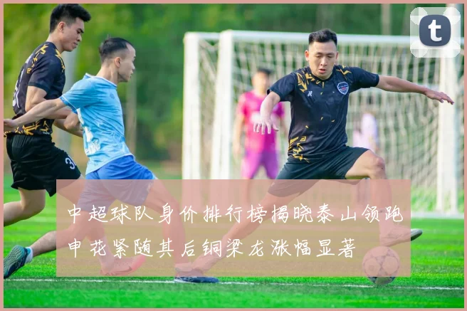 中超球队身价排行榜揭晓泰山领跑申花紧随其后铜梁龙涨幅显著