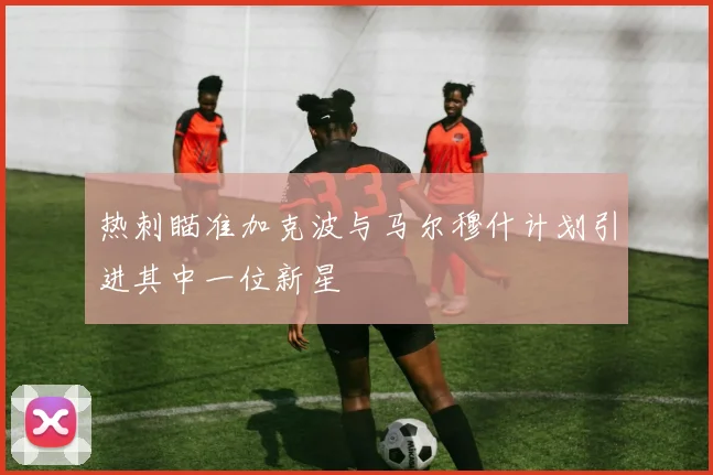 热刺瞄准加克波与马尔穆什计划引进其中一位新星